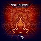 Kri Samadhi - Psynaesthetist