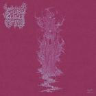 Sallow Moth - Deformity In Ceremony