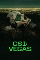 CSI: Vegas - Staffel 3