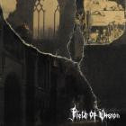 Field Of Vision - Field Of Vision