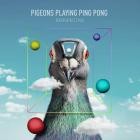 Pigeons Playing Ping Pong - - Perspective  