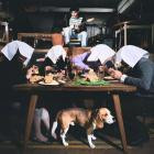 jeune Oji - Clausura