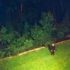 Verona Florrist - Verona Florrist