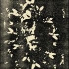 Yellow Ghoul - Yellow Ghoul