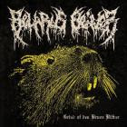 Belarus Beaver - Grind Af Den Brune Bafver
