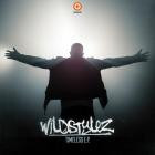 Wildstylez-Timeless E P- Q066D -16BIT-WEB-FLAC-2013-FMC Classics