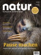 natur 12/2025