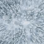 Super Luminal - Eine Schne Gedichte