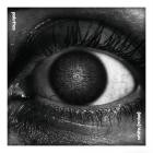 palettes - white  (noise)