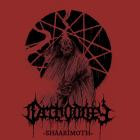 Orthodoxy - Shaarimoth