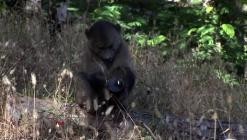 Die.Bestien.im.Auge.-.Die.Tierwelt.Afrikas.wie.Sie.sie.noch.nie.gesehen.haben.E01.GERMAN.DL.DOKU.2013.BDRiP.x264.RERiP-PtBM