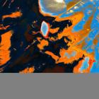 Waldymoto - INSTINKTLAB024