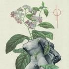 Sundrowned - Higanbana