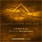 Gursahhh, JR Melon - Ushuaia (Mollono House Remix)  
