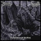 Ravenous Death - Decompositions Of The Flesh