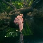 Linying - Swim, Swim