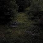 Fireworks-Higher Lonely Power-24BIT-96KHZ-WEB-FLAC-2023-FLACCiD