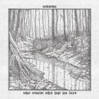 Nemorous - What Remains When Hope Has Failed