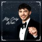 David Archuleta - My Only Wish