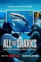 All the Sharks - Staffel 1