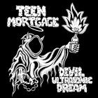 Teen Mortgage-Devil Ultrasonic Dream-24BIT-WEB-FLAC-2025-FLACCiD