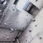 Anysia Kym And Tony Seltzer - Purity