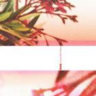 TEED - Always With A Remix