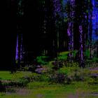 Pl - If You Were Real Pt 1