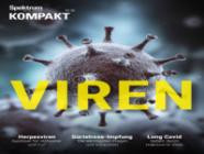 Spektrum Kompakt 10/2026