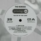 The Prodigy - The Fat Of The Land 25th Anniversary (The Remixes)