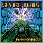 Space Tribe - Peak Experience