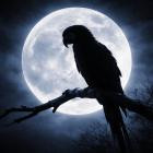 Bonez MC, Jugglerz - Vollmond