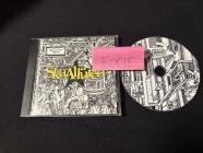 SkaAllueren - Mainstream Regime