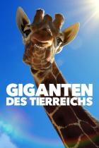 Giganten.des.Tierreichs.S01E01.GERMAN.DL.DOKU.WEB.H264-iNFOTv