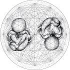 VA - Organic Elements