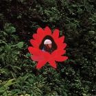 Lionmilk - WHEN THE FLOWERS BLOOM