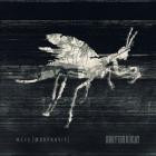 Defying Decay - MetaMorphosis