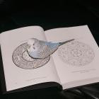 Omnihell - Extreme Suffering