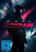 Jackdaw