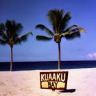 2080 - Quoicoubeh (Wakichoubalou)