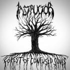 Instructor - Forest Of Confused Souls