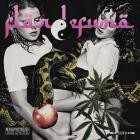 Flor De Fumo - Flor De Fumo