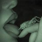 Julia Wolf - PRESSURE