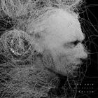 The Missing Peace - The Void