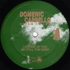 Domenic Cappello - ShopURL : https:domeniccappello bandcamp comalbumdream-of-you