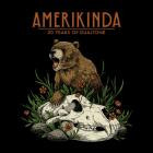 VA - Amerikinda: 20 Years Of Dualtone