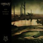 Vortesvin - What Remains Of The World