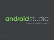 Android Studio 2024.3.2.15 (x64)