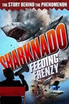 Sharknado.Der.ganz.normale.Wahnsinn.2015.German.DL.DOKU.WEB.H264-CLASSiCAL