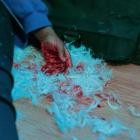 Kaonashi-Dear Lemon House You Ruined Me Senior Year-24BIT-48KHZ-WEB-FLAC-2021-FLACCiD